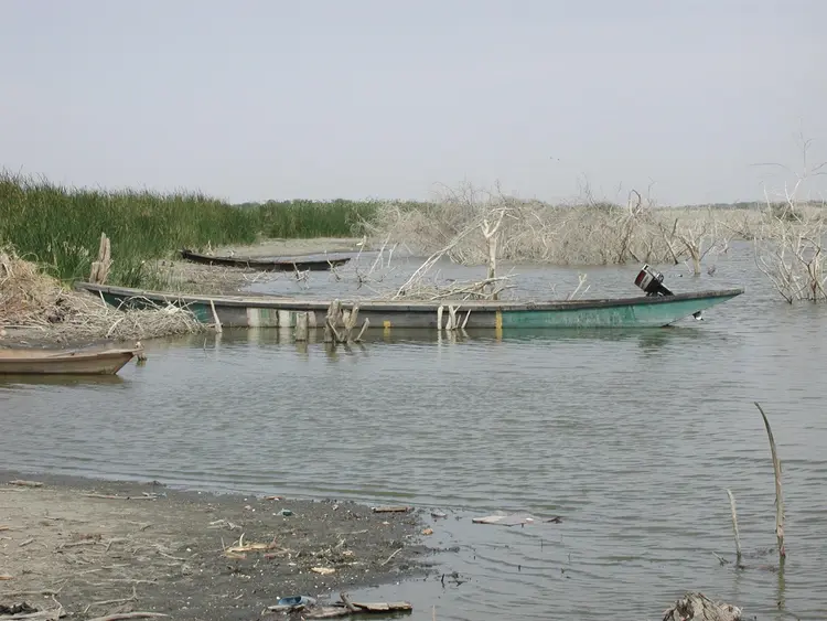 maara ingiye (faransa: pirogue, bateau; ingilisingilisi: boat)